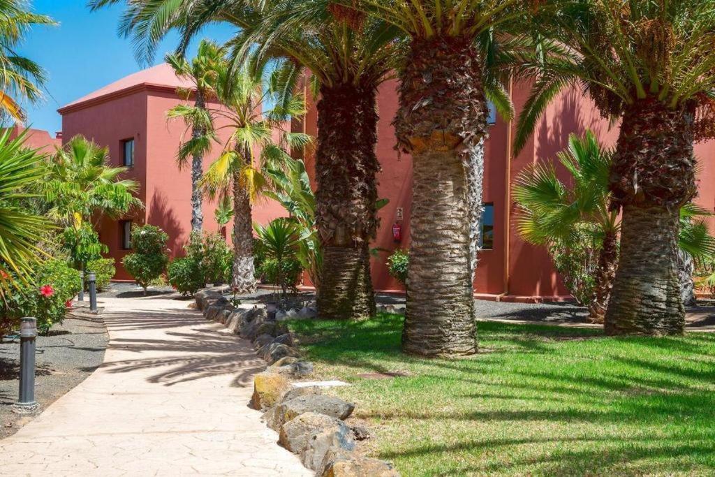 Apartament Oasis Tamarindo 1 - - Casa Rosa - 2